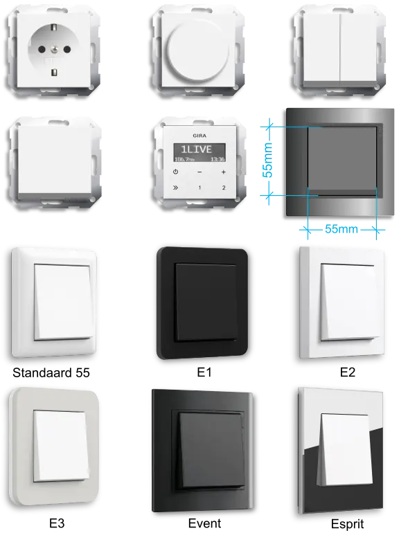 Gira Systeem 55