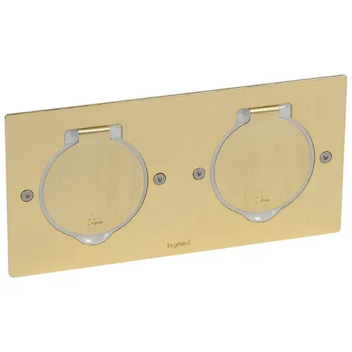 Legrand 089712 vloercontactdoos afdekplaat 2-voudig  86 x 172 mm brons