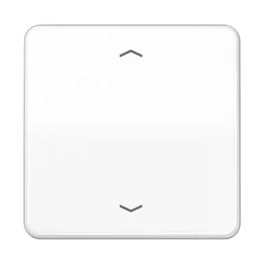 JUNG CD 590 P WW schakelwip met pijlsymbolen CD500 alpine wit