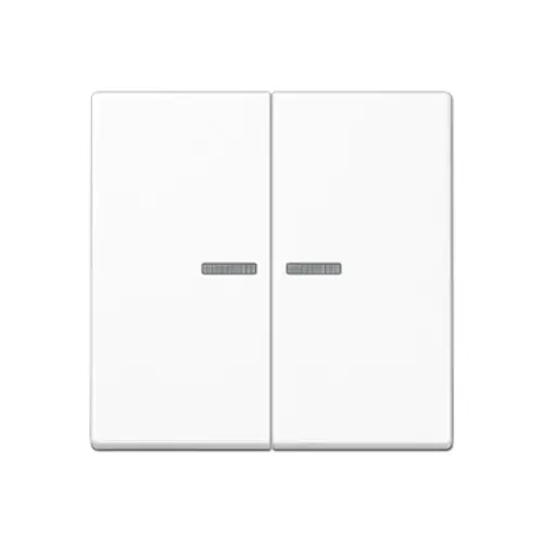 JUNG A 595 BF KO5 WW schakelwip 2-voudig met controlevenster A-range alpine wit
