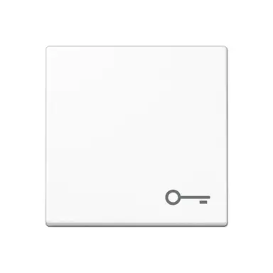 JUNG A 590 BF T WW schakelwip met sleutelsymbool A-range alpine wit