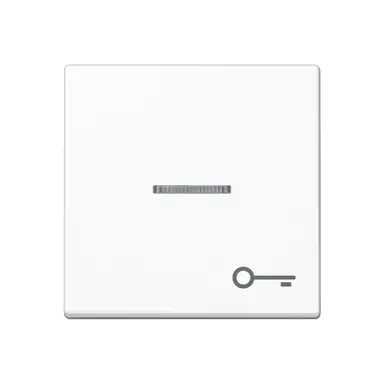 JUNG A 590 BFKO5 T WW schakelwip met sleutelsymbool en controlevenster A-range alpine wit