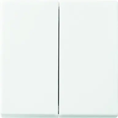 Busch-Jaeger 6736 FoH-914 Friends of Hue schakelwip 2-voudig Balance SI