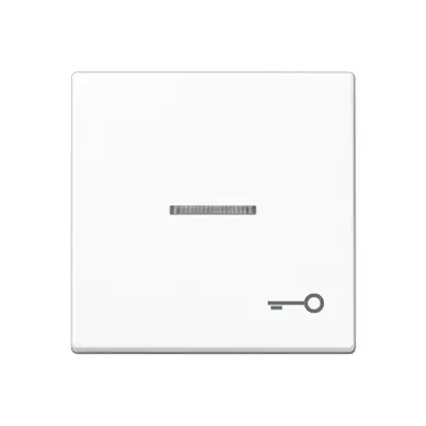 JUNG A 590 KO5 T WW schakelwip met sleutelsymbool en controlevenster A-range alpine wit