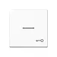 JUNG A 590 KO5 T WW schakelwip met sleutelsymbool en controlevenster A-range alpine wit