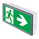 Intelight 93667 noodverlichtingsarmatuur decentraal opbouw LED 4W 5000K IP65 VELLA