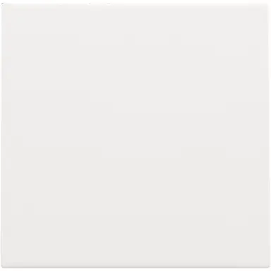 Niko 154-76901 blindplaat zonder draagring white coated