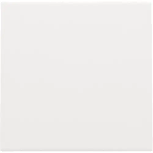 Niko 154-76901 blindplaat zonder draagring white coated