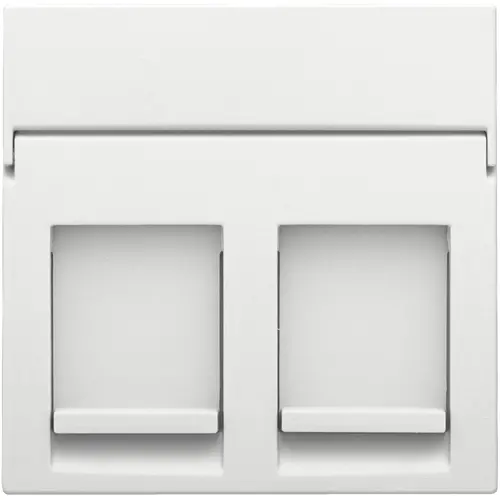 Niko 154-65200 centraalplaat 2-voudig tbv RJ draagring white coated