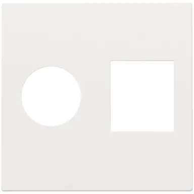 Niko 154-65702 centraalplaat Coax en RJ45 white coated