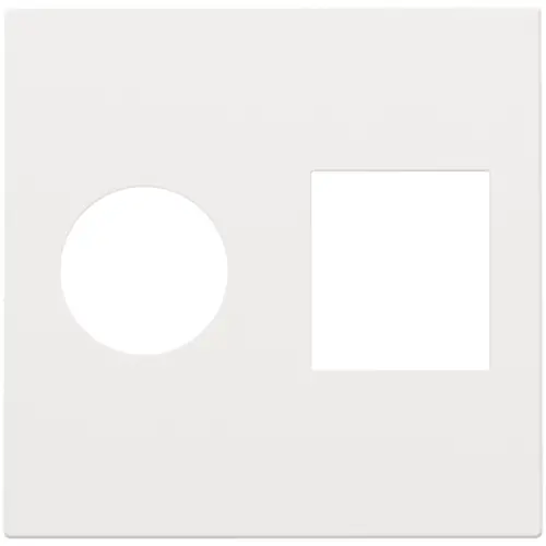 Niko 154-65702 centraalplaat Coax en RJ45 white coated