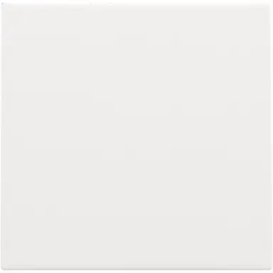 Niko 154-76001 blindplaat met kabeluitvoer zonder draagring white coated