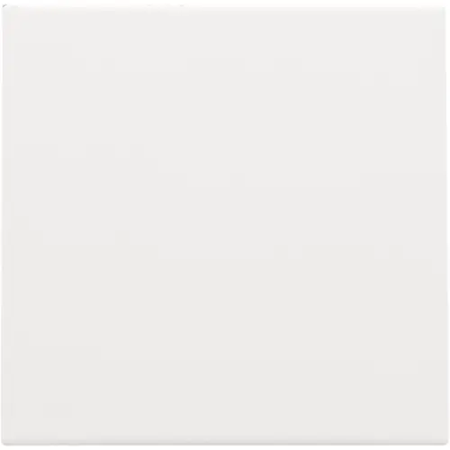 Niko 154-76001 blindplaat met kabeluitvoer zonder draagring white coated