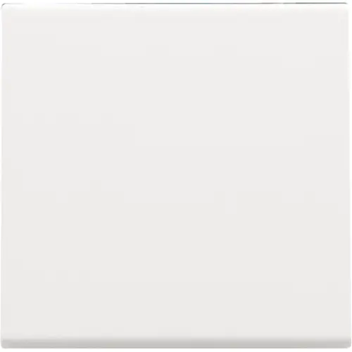 Niko 154-31002 dimmerknop 1-voudig tastdimmer white coated