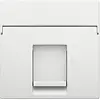 Niko 154-65100 centraalplaat 1-voudig tbv RJ draagring white coated
