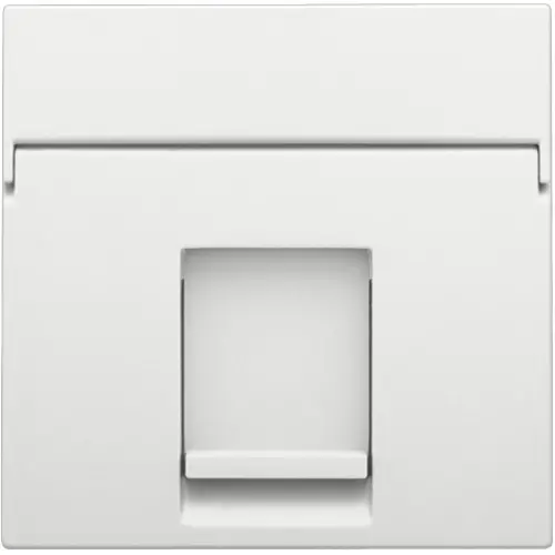 Niko 154-65100 centraalplaat 1-voudig tbv RJ draagring white coated