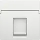 Niko 154-65100 centraalplaat 1-voudig tbv RJ draagring white coated