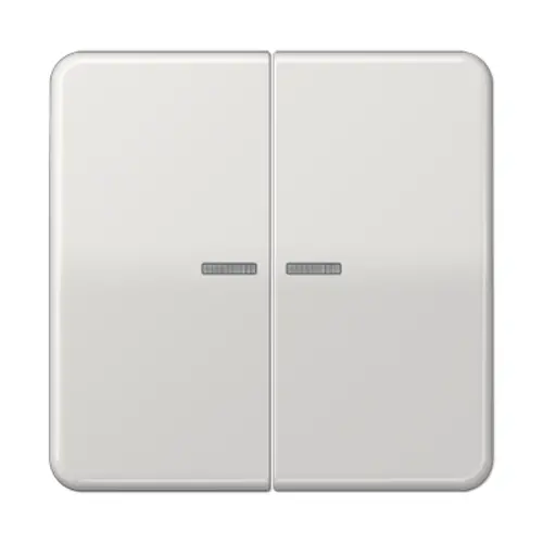 JUNG CD 595 KO5 LG schakelwip 2-voudig met controlevenster CD500 lichtgrijs