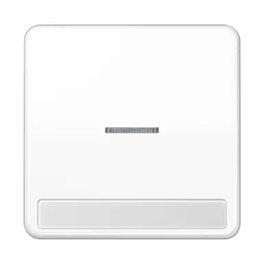 JUNG CD 590 NAKO5 WW schakelwip met controlevenster en tekstvenster CD500 alpine wit