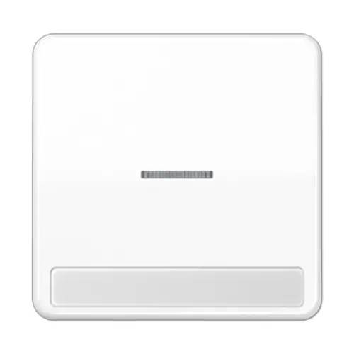 JUNG CD 590 NAKO5 WW schakelwip met controlevenster en tekstvenster CD500 alpine wit