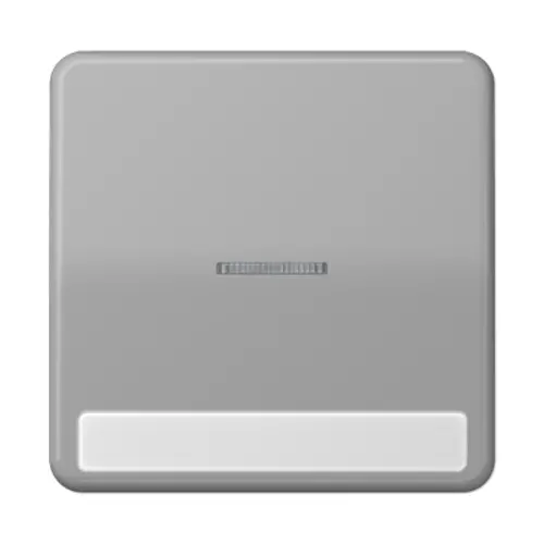 JUNG CD 590 NAKO5 GR schakelwip met controlevenster en tekstvenster CD500 grijs