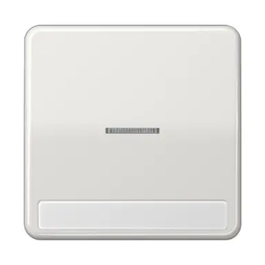 JUNG CD 590 NAKO5 LG schakelwip met controlevenster en tekstvenster CD500 lichtgrijs