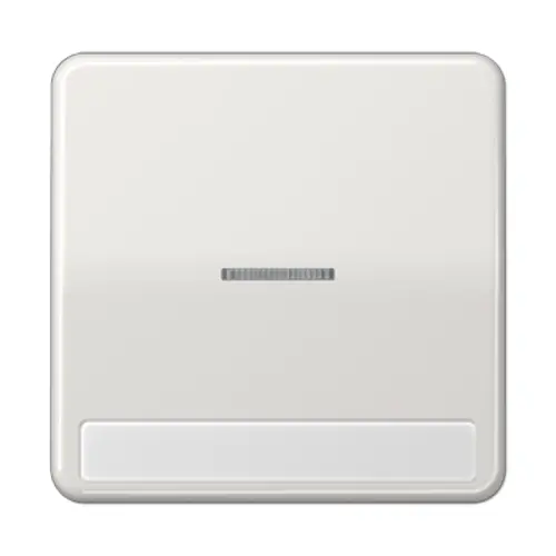 JUNG CD 590 NAKO5 LG schakelwip met controlevenster en tekstvenster CD500 lichtgrijs