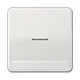 JUNG CD 590 NAKO5 LG schakelwip met controlevenster en tekstvenster CD500 lichtgrijs