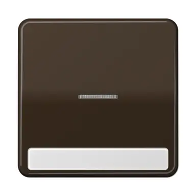 JUNG CD 590 NAKO5 BR schakelwip met controlevenster en tekstvenster CD500 bruin