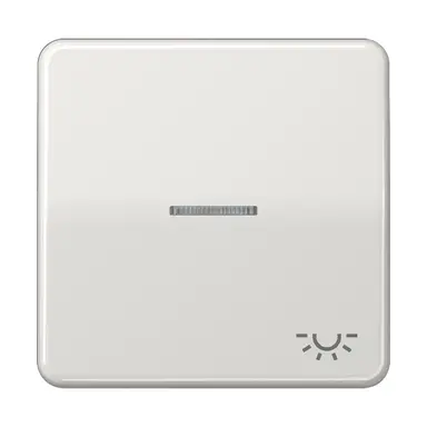 JUNG CD 590 KO5L LG schakelwip met lichtsymbool en controlevenster CD500 lichtgrijs