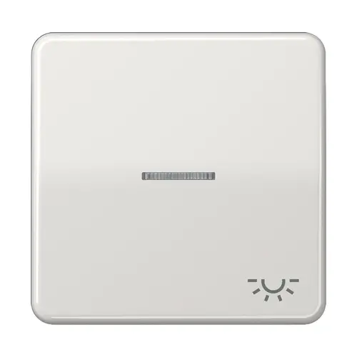 JUNG CD 590 KO5L LG schakelwip met lichtsymbool en controlevenster CD500 lichtgrijs