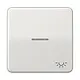 JUNG CD 590 KO5L LG schakelwip met lichtsymbool en controlevenster CD500 lichtgrijs