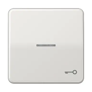 JUNG CD 590 KO5T LG schakelwip met sleutelsymbool en controlevenster CD500 lichtgrijs