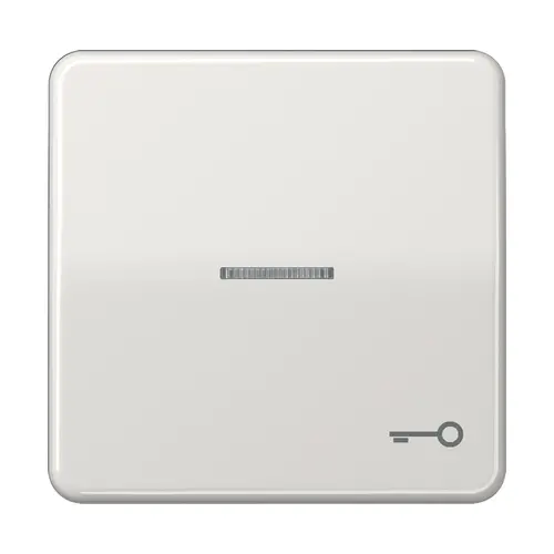 JUNG CD 590 KO5T LG schakelwip met sleutelsymbool en controlevenster CD500 lichtgrijs