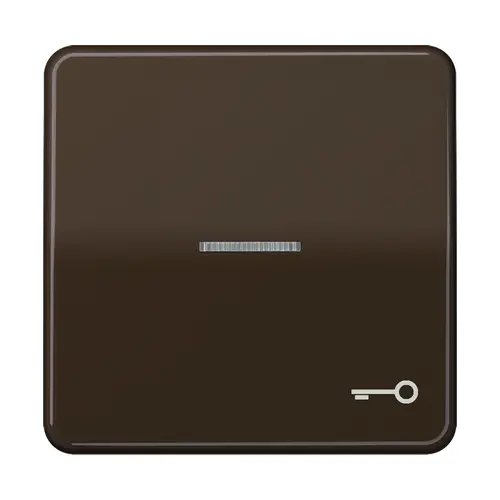 JUNG CD 590 KO5T BR schakelwip met sleutelsymbool en controlevenster CD500 bruin