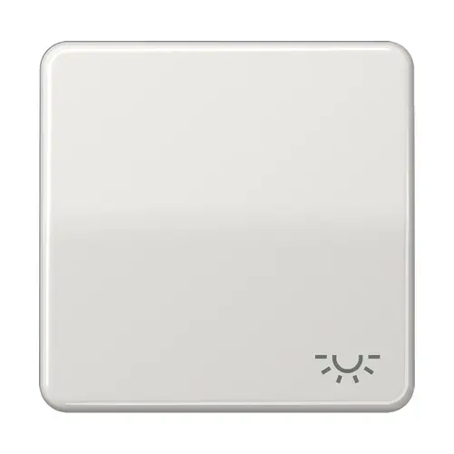 JUNG CD 590 L LG schakelwip met lichtsymbool CD500 lichtgrijs