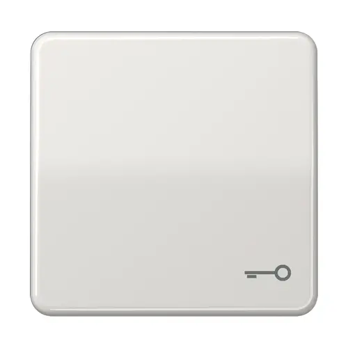 JUNG CD 590 T LG schakelwip met sleutelsymbool CD500 lichtgrijs
