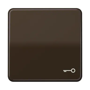 JUNG CD 590 T BR schakelwip met sleutelsymbool CD500 bruin
