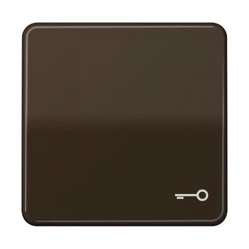 JUNG CD 590 T BR schakelwip met sleutelsymbool CD500 bruin