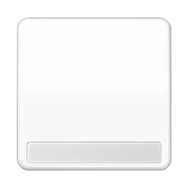 JUNG CD 590 NA WW schakelwip met tekstvenster CD500 alpine wit