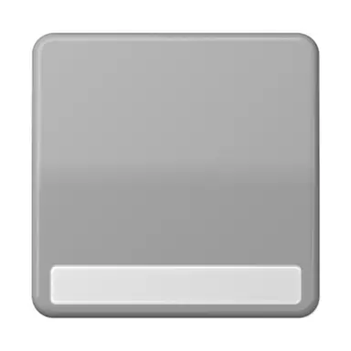 JUNG CD 590 NA GR schakelwip met tekstvenster CD500 grijs