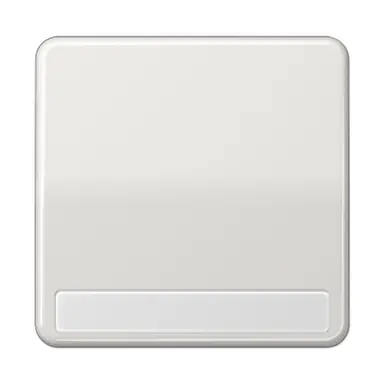 JUNG CD 590 NA LG schakelwip met tekstvenster CD500 lichtgrijs