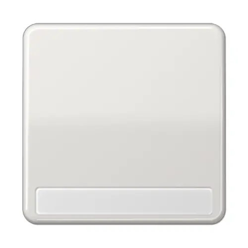JUNG CD 590 NA LG schakelwip met tekstvenster CD500 lichtgrijs