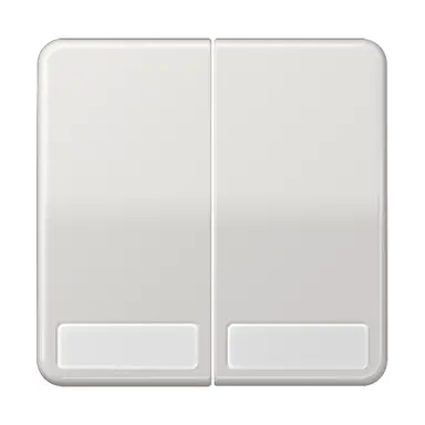 JUNG CD 595 NA LG schakelwip 2-voudig met tekstvenster CD500 lichtgrijs