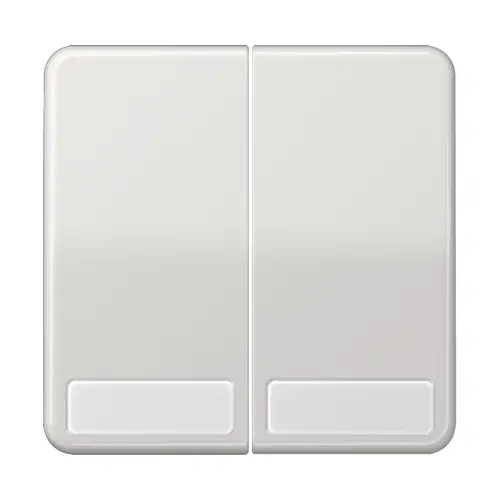 JUNG CD 595 NA LG schakelwip 2-voudig met tekstvenster CD500 lichtgrijs