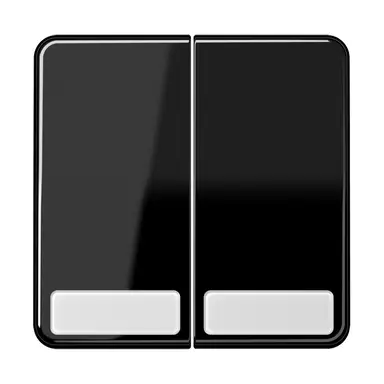JUNG CD 595 NA SW schakelwip 2-voudig met tekstvenster CD500 zwart glans