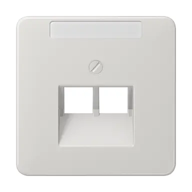 JUNG CD 569-2 NAUA LG centraalplaat 2-voudig met tekstvenster tbv RJ45 wandcontactdoos CD500 lichtgrijs