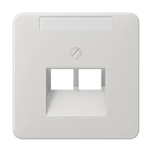 JUNG CD 569-2 NAUA LG centraalplaat 2-voudig met tekstvenster tbv RJ45 wandcontactdoos CD500 lichtgrijs
