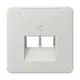 JUNG CD 569-2 NAUA LG centraalplaat 2-voudig met tekstvenster tbv RJ45 wandcontactdoos CD500 lichtgrijs