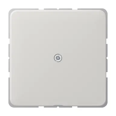 JUNG CD 590 A LG centraalplaat met snoerinvoer en draagring CD500 lichtgrijs